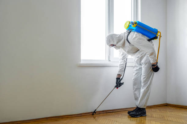 Flea Control Services in Granby, MO