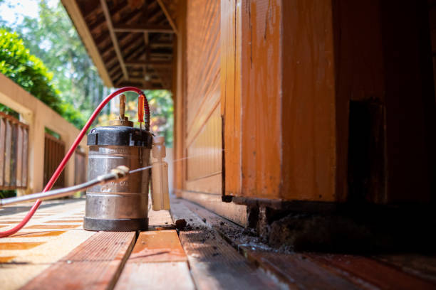 Best Mosquito Control Services  in Granby, MO